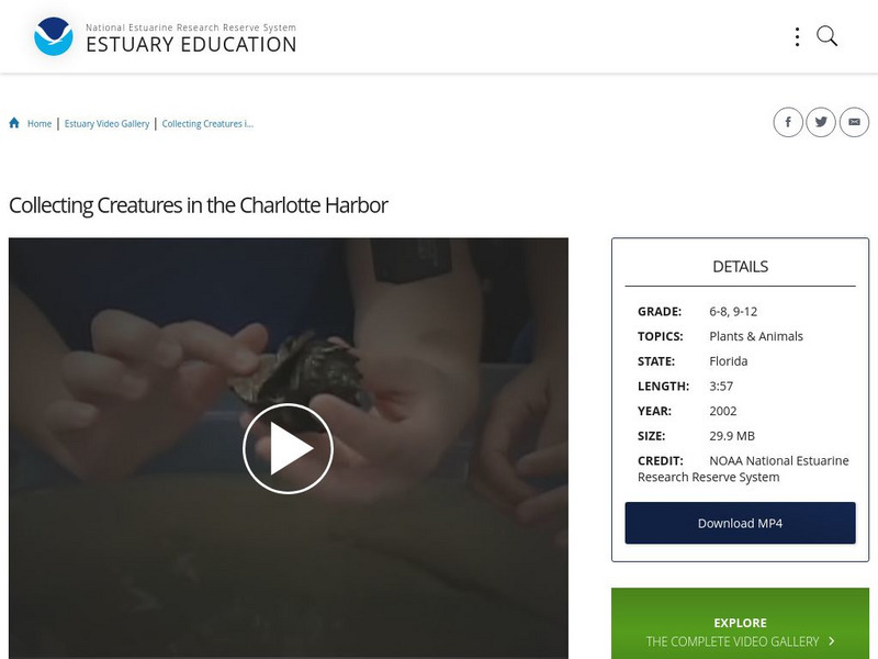 Noaa: Estuary Education: Collecting Creatures in the Charlotte Harbor Instructional Video Noaa: Estuary Education: Collecting Creatures in the Charlotte Harbor Instructional Video