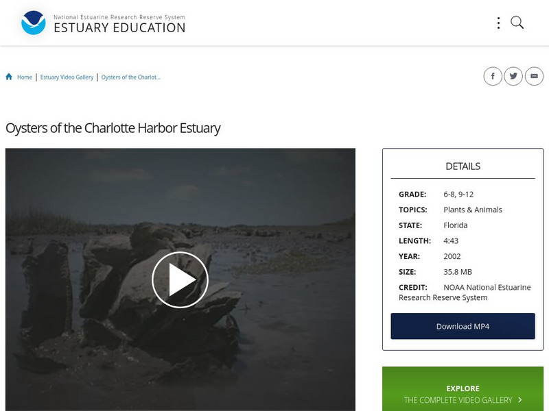 Noaa: Estuary Education: Oysters of the Charlotte Harbor Estuary Instructional Video Noaa: Estuary Education: Oysters of the Charlotte Harbor Estuary Instructional Video