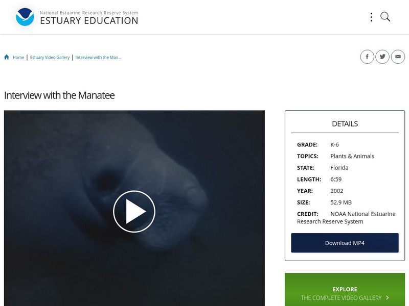 Noaa: Estuary Education: Interview With the Manatee Instructional Video Noaa: Estuary Education: Interview With the Manatee Instructional Video