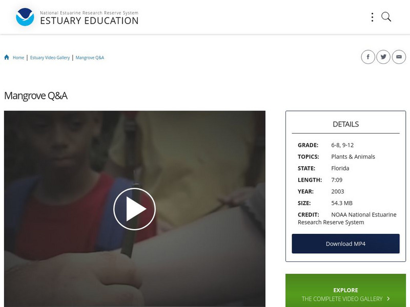 Noaa: Estuary Education: Mangrove Q&a Instructional Video Noaa: Estuary Education: Mangrove Q&a Instructional Video