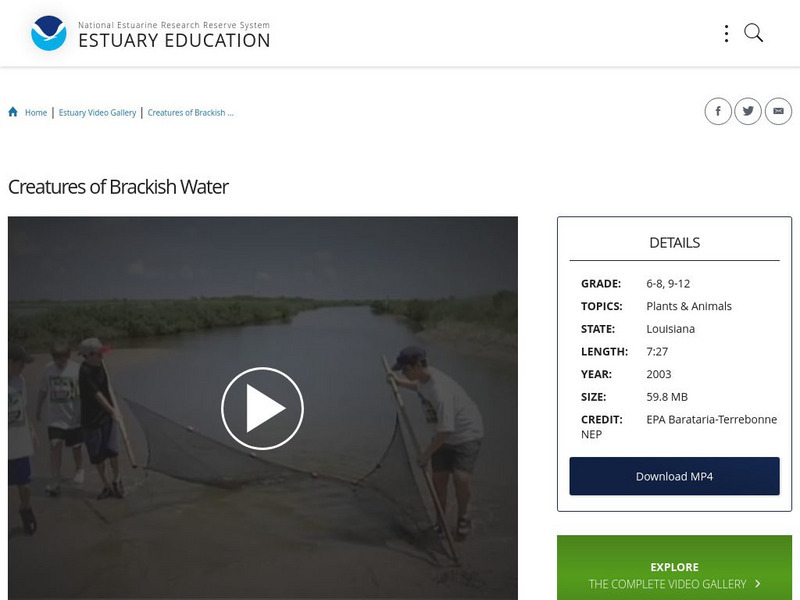 Noaa: Estuary Education: Creatures of Brackish Water Instructional Video Noaa: Estuary Education: Creatures of Brackish Water Instructional Video