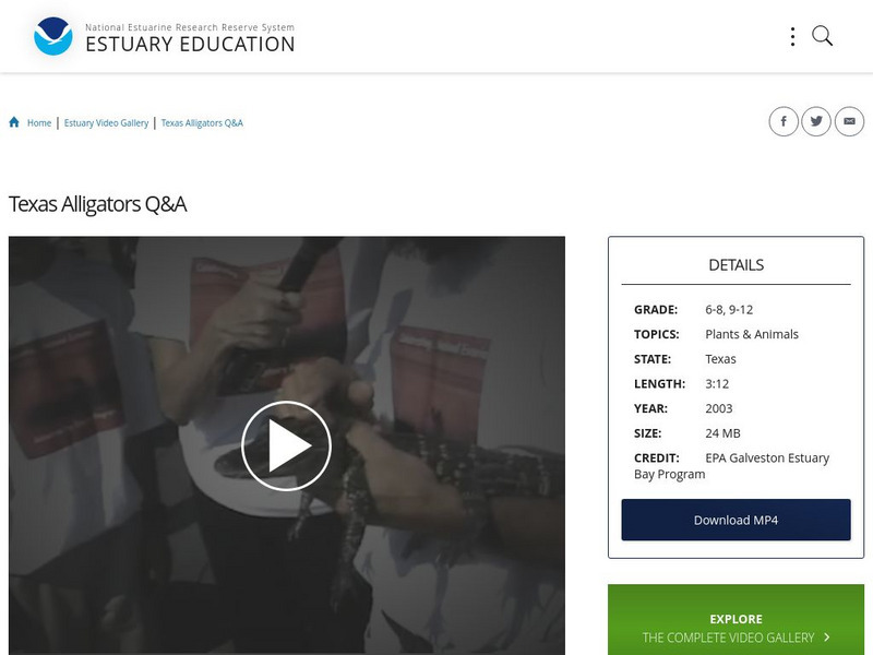 Noaa: Estuary Education: Texas Alligators Q&a Instructional Video Noaa: Estuary Education: Texas Alligators Q&a Instructional Video