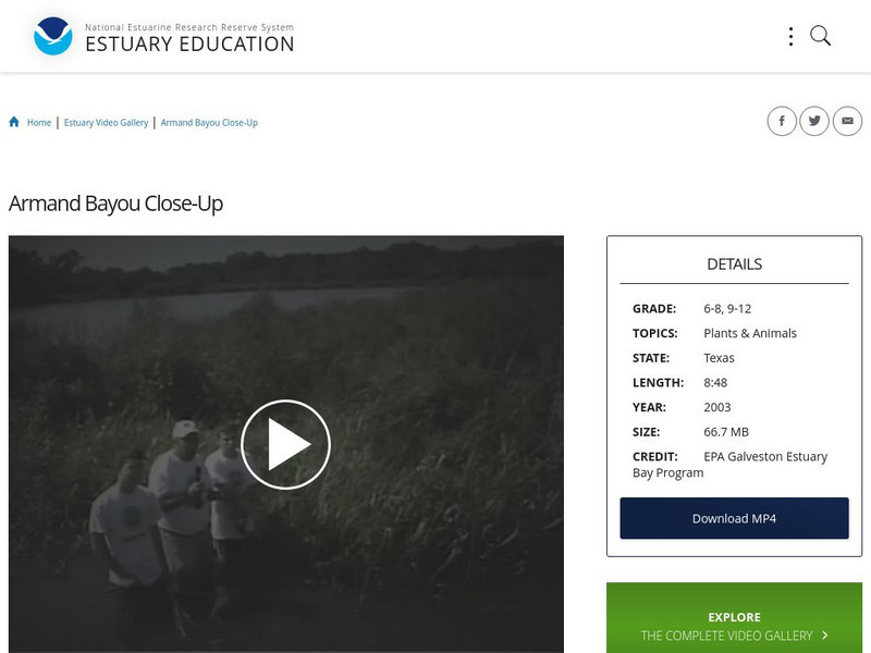Noaa: Estuary Education: Armand Bayou Close Up Instructional Video Noaa: Estuary Education: Armand Bayou Close Up Instructional Video
