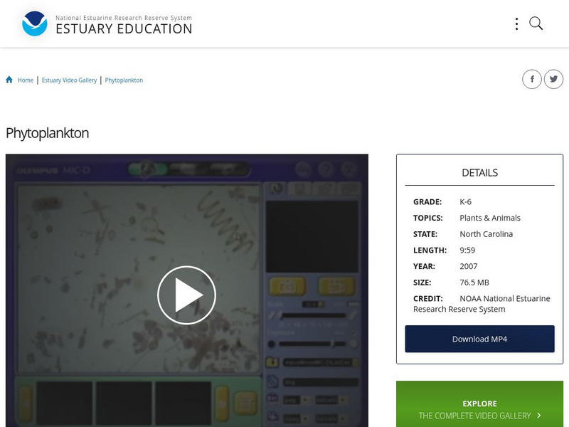 Noaa: Estuary Education: Phytoplankton Instructional Video