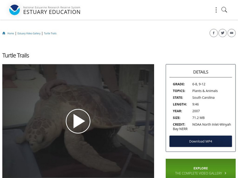 Noaa: Estuary Education: Turtle Trails Instructional Video Noaa: Estuary Education: Turtle Trails Instructional Video