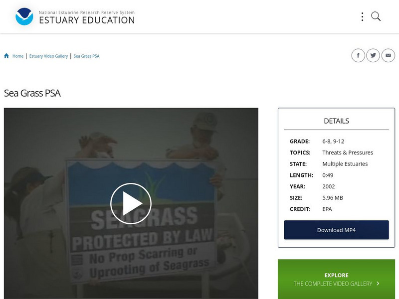 Noaa: Estuary Education: Sea Grass Psa Instructional Video