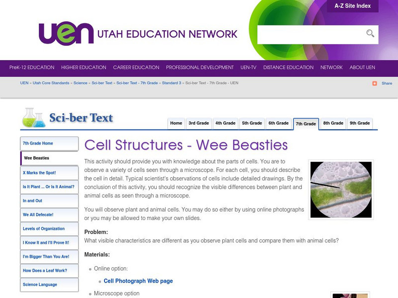 Uen: Cell Structures Wee Beasties Activity Uen: Cell Structures Wee Beasties Activity