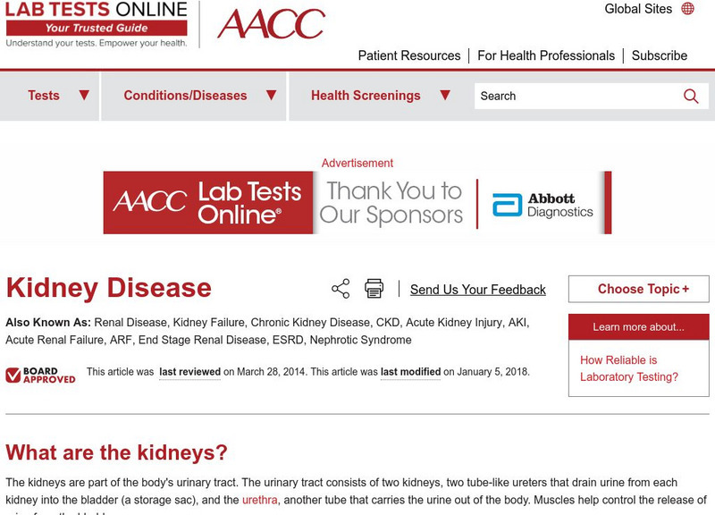 Lab Tests Online: Kidney and Urinary Tract Function, Disorders, and Diseases Handout