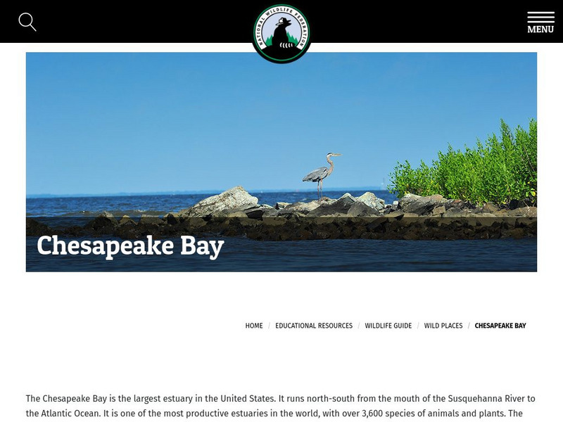National Wildlife Federation: Chesapeake Bay Handout National Wildlife Federation: Chesapeake Bay Handout
