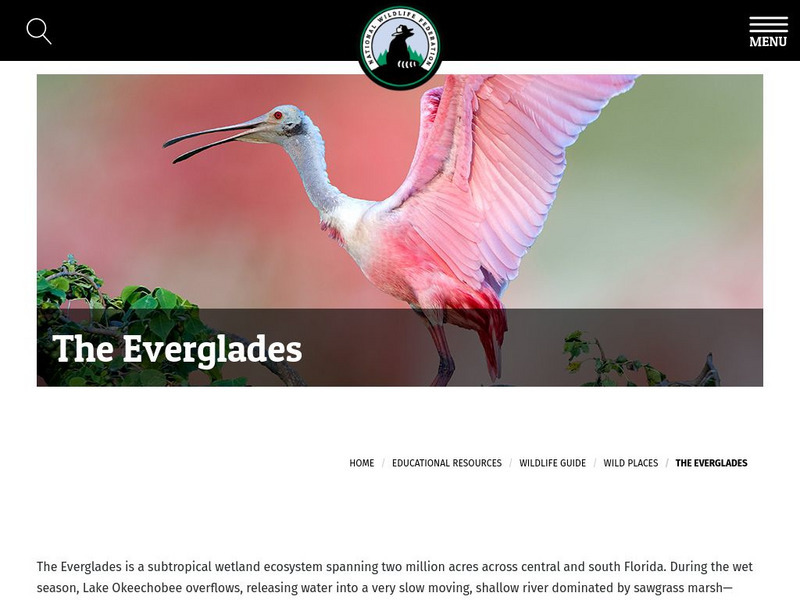National Wildlife Federation: Wild Places: Everglades Handout