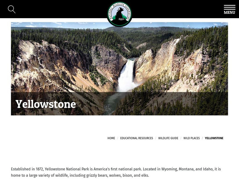 National Wildlife Federation: Wild Places: Yellowstone National Park Handout National Wildlife Federation: Wild Places: Yellowstone National Park Handout