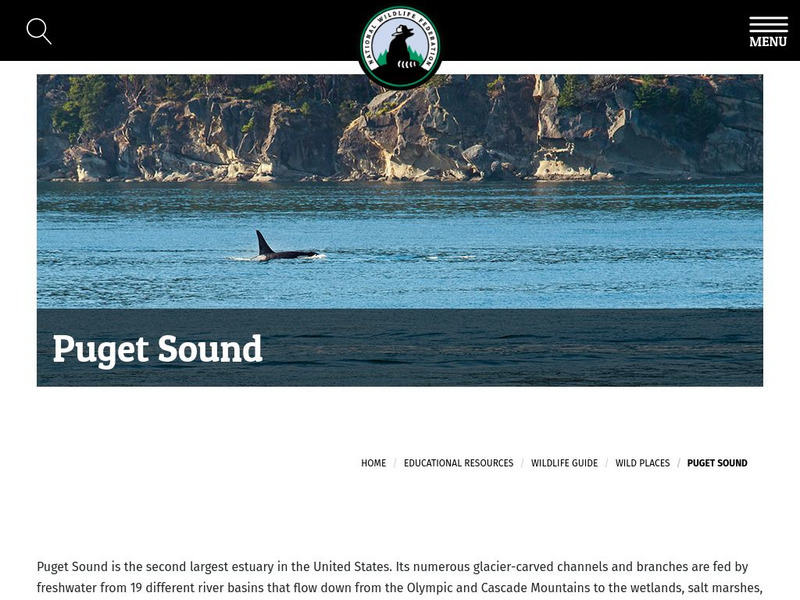National Wildlife Federation: Wild Places: Puget Sound Handout