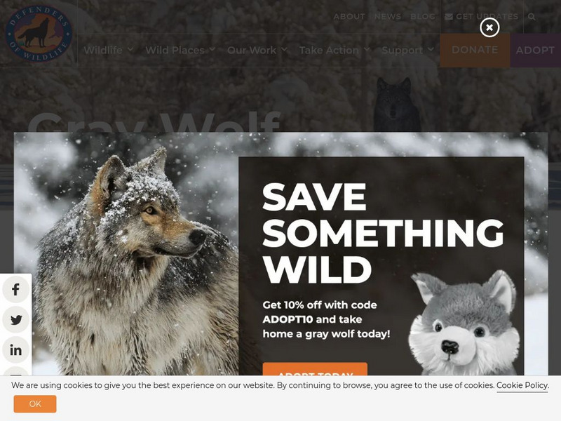 Defenders of Wildlife: Wolves Article Defenders of Wildlife: Wolves Article