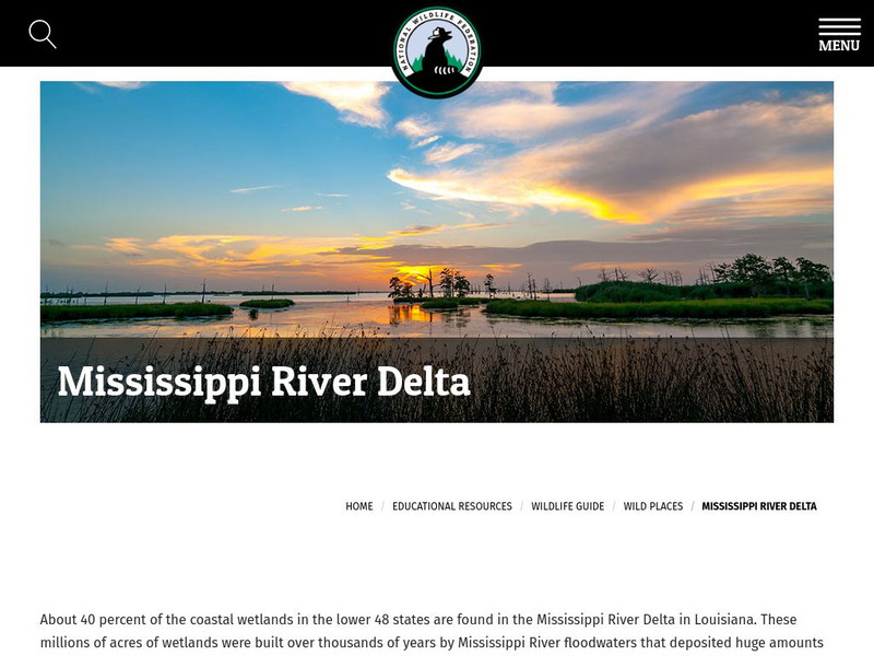 National Wildlife Federation: Mississippi River Delta Unit Plan National Wildlife Federation: Mississippi River Delta Unit Plan