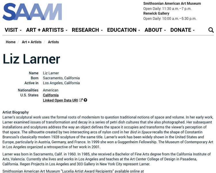 Smithsonian American Art Museum: Liz Larner Handout Smithsonian American Art Museum: Liz Larner Handout