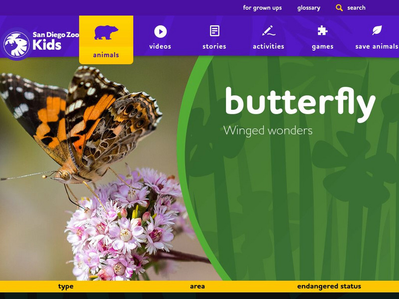 San Diego Zoo: Kids: Animals: Butterfly: Winged Wonders Handout San Diego Zoo: Kids: Animals: Butterfly: Winged Wonders Handout