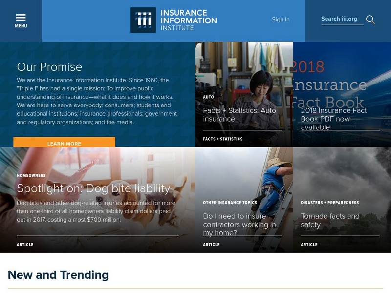 Insurance Information Institute Activity Insurance Information Institute Activity