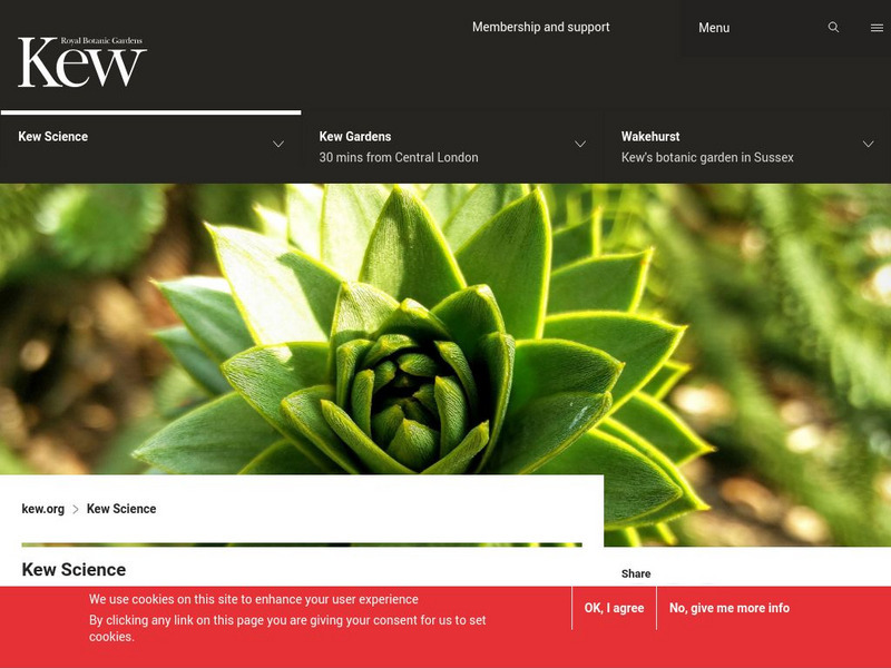 Plant Cultures: Exploring Plants and People Website Plant Cultures: Exploring Plants and People Website