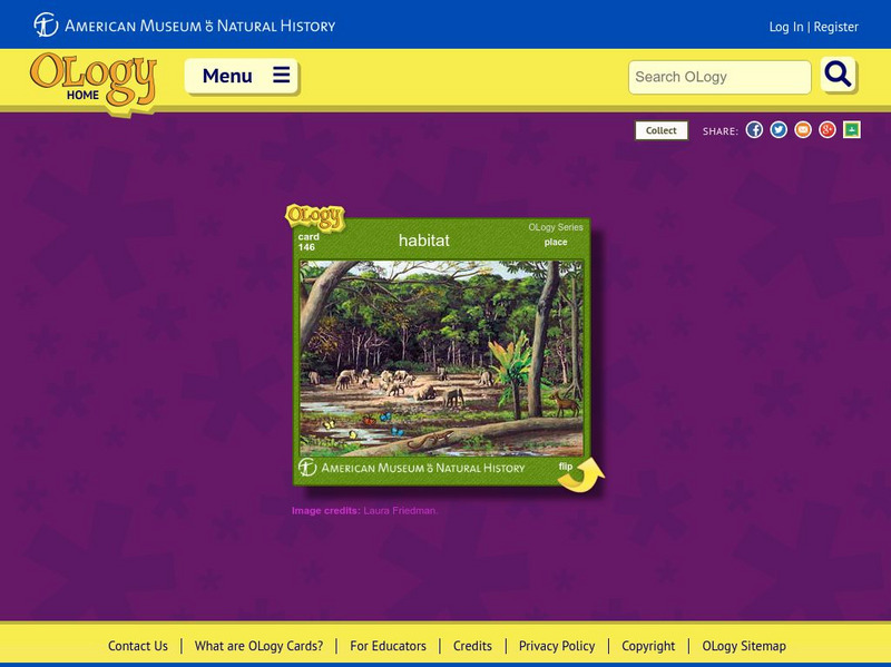 American Museum of Natural History: Habitat O Logy Card Interactive American Museum of Natural History: Habitat O Logy Card Interactive