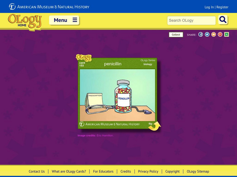 American Museum of Natural History: Penicillin O Logy Card Interactive American Museum of Natural History: Penicillin O Logy Card Interactive