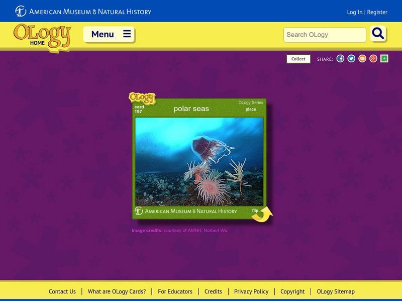 American Museum of Natural History: Polar Seas O Logy Card Interactive American Museum of Natural History: Polar Seas O Logy Card Interactive