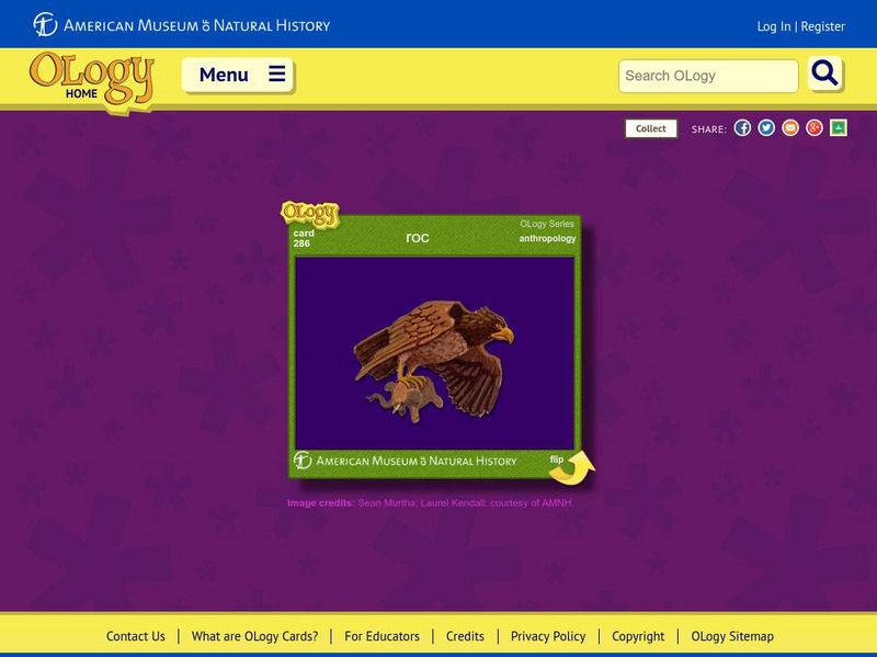 American Museum of Natural History: O Logy: Roc Interactive American Museum of Natural History: O Logy: Roc Interactive