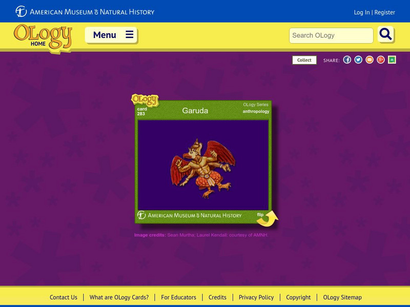 American Museum of Natural History: O Logy: Garuda Interactive American Museum of Natural History: O Logy: Garuda Interactive