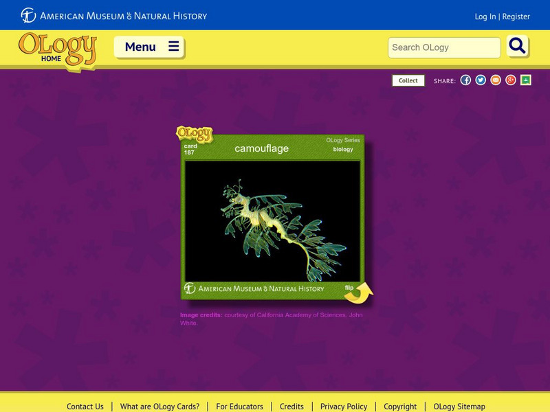 American Museum of Natural History: Camouflage O Logy Card Interactive American Museum of Natural History: Camouflage O Logy Card Interactive