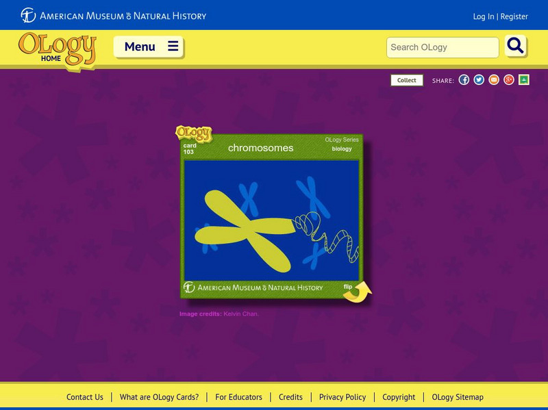 American Museum of Natural History: Chromosomes O Logy Card Interactive American Museum of Natural History: Chromosomes O Logy Card Interactive