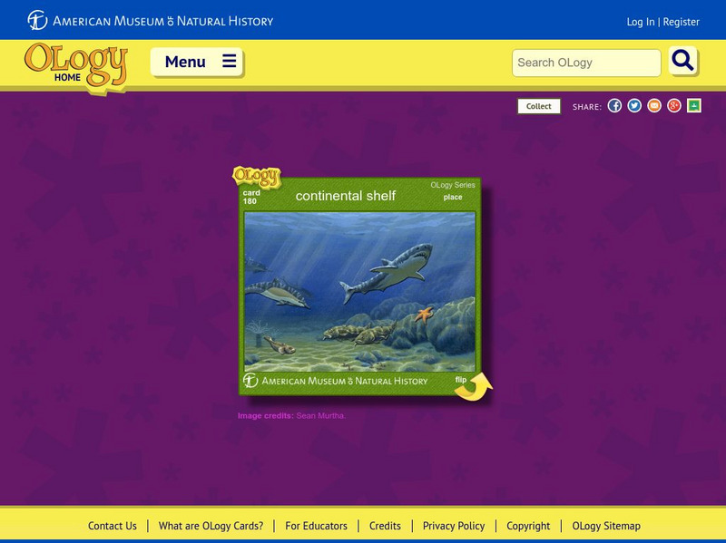 American Museum of Natural History: Continental Shelf O Logy Card Interactive American Museum of Natural History: Continental Shelf O Logy Card Interactive