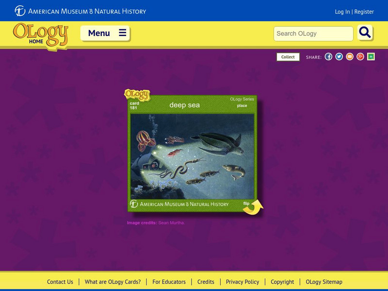 American Museum of Natural History: Deep Sea O Logy Card Interactive American Museum of Natural History: Deep Sea O Logy Card Interactive