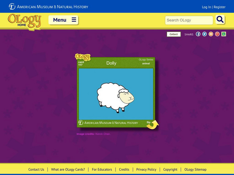 American Museum of Natural History: Dolly O Logy Card Interactive American Museum of Natural History: Dolly O Logy Card Interactive