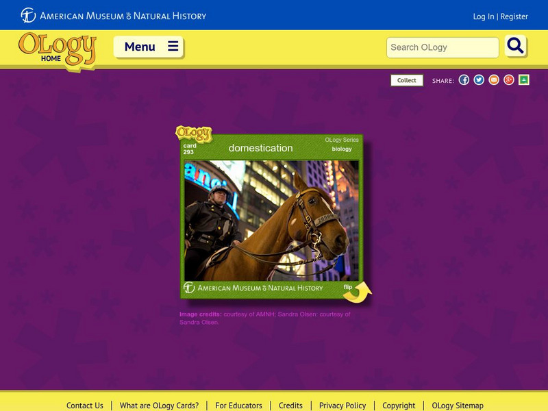 American Museum of Natural History: Domestication O Logy Card Interactive