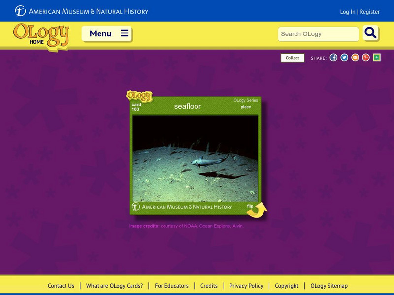 American Museum of Natural History: Seafloor O Logy Card Interactive American Museum of Natural History: Seafloor O Logy Card Interactive