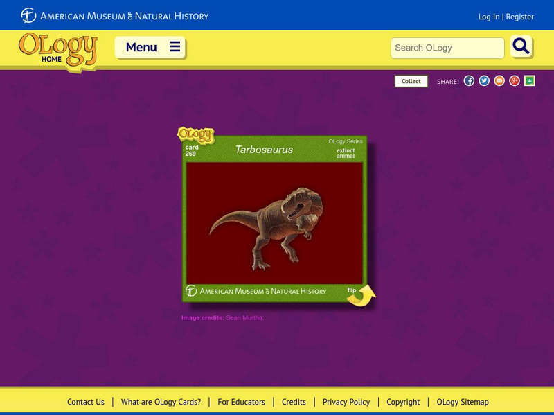 American Museum of Natural History: Tarbosaurus O Logy Card Interactive