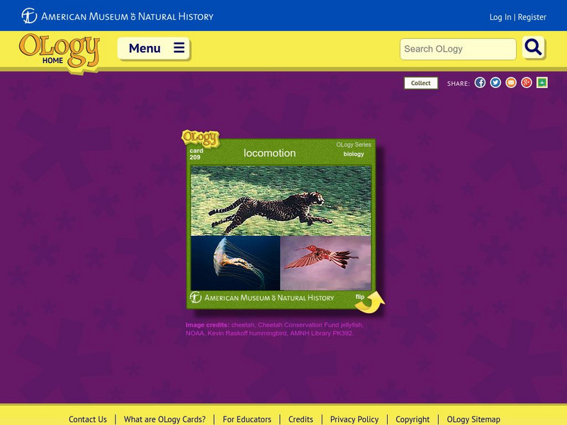 American Museum of Natural History: Locomotion O Logy Card Interactive American Museum of Natural History: Locomotion O Logy Card Interactive