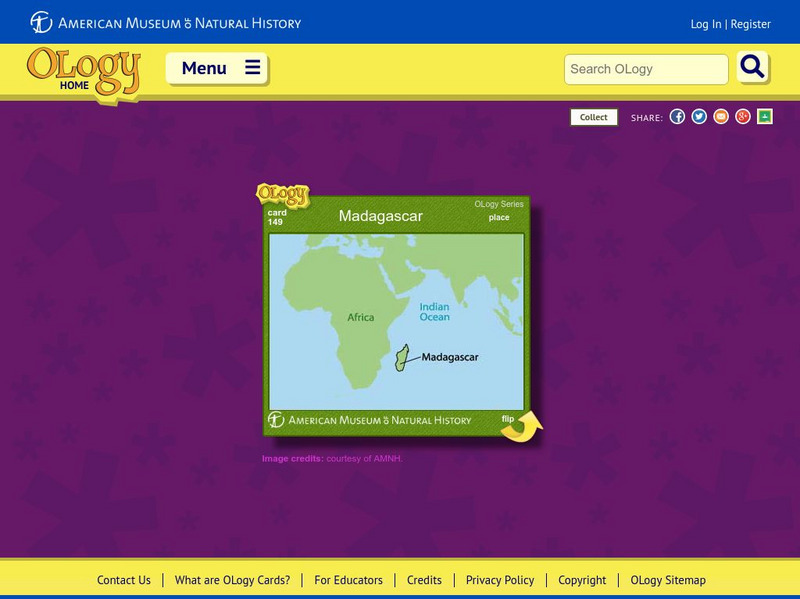 American Museum of Natural History: Madagascar O Logy Card Interactive American Museum of Natural History: Madagascar O Logy Card Interactive