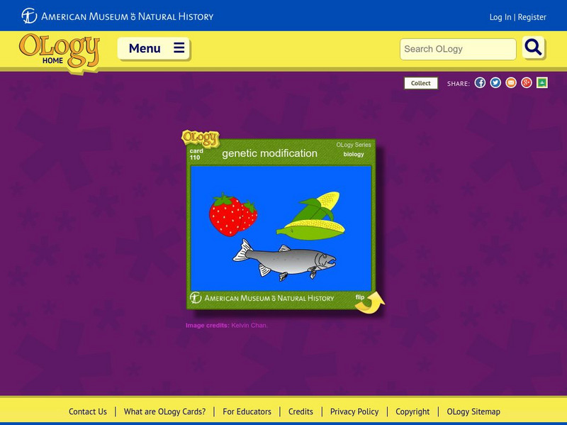 American Museum of Natural History: Genetic Modification O Logy Card Interactive American Museum of Natural History: Genetic Modification O Logy Card Interactive