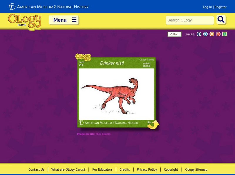 American Museum of Natural History: Drinker Nisti O Logy Card Handout American Museum of Natural History: Drinker Nisti O Logy Card Handout