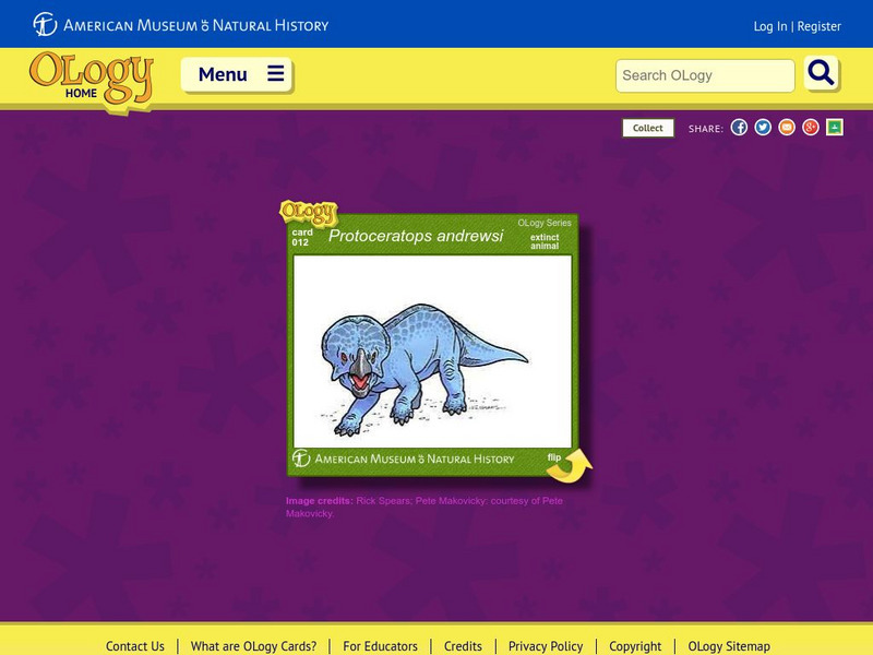 American Museum of Natural History: Protoceratops Andrewsi O Logy Card Handout