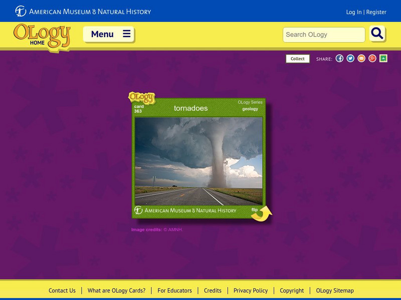American Museum of Natural History: Tornadoes O Logy Card Handout American Museum of Natural History: Tornadoes O Logy Card Handout
