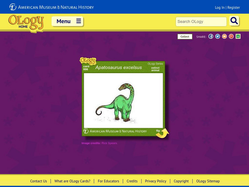 American Museum of Natural History: Apatosaurus Excelsus O Logy Card Handout