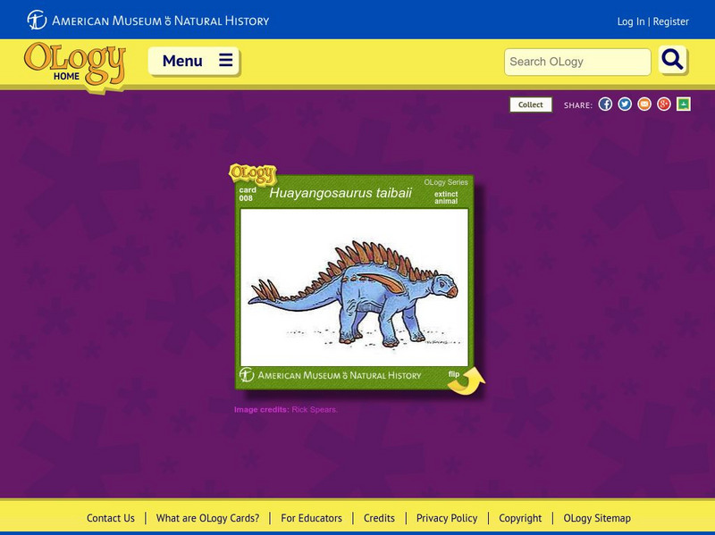 American Museum of Natural History: Huayangosaurus Taibaii O Logy Card Handout