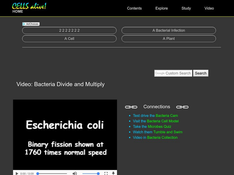Cells Alive: Bacterial Growth Handout Cells Alive: Bacterial Growth Handout