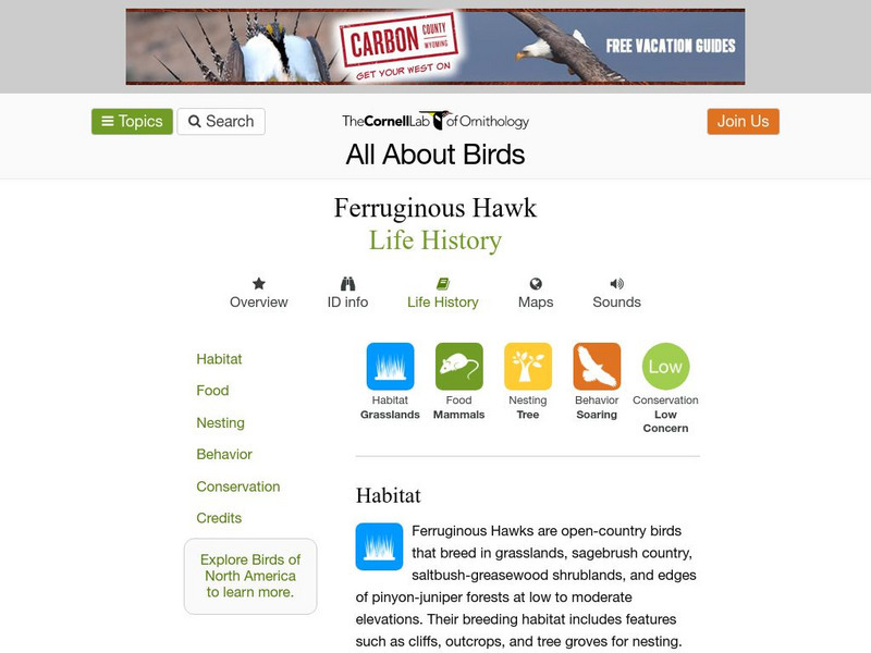 Cornell Lab of Ornithology: Ferruginous Hawk Handout Cornell Lab of Ornithology: Ferruginous Hawk Handout