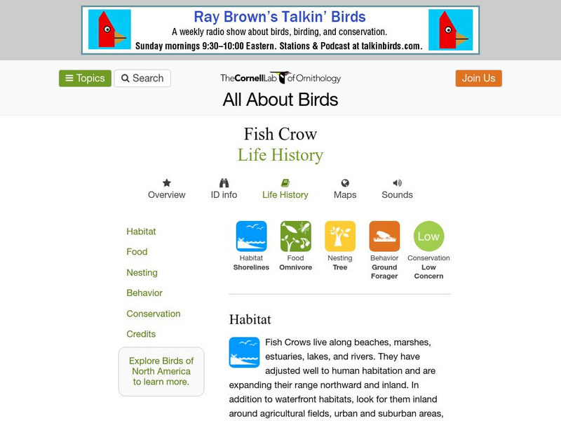 Cornell Lab of Ornithology: Fish Crow Handout Cornell Lab of Ornithology: Fish Crow Handout