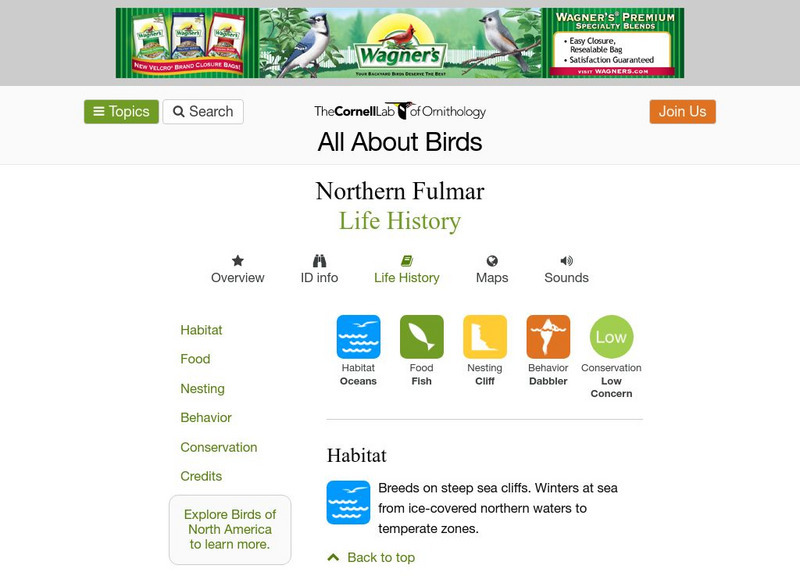 Cornell Lab of Ornithology: Northern Fulmar Handout Cornell Lab of Ornithology: Northern Fulmar Handout