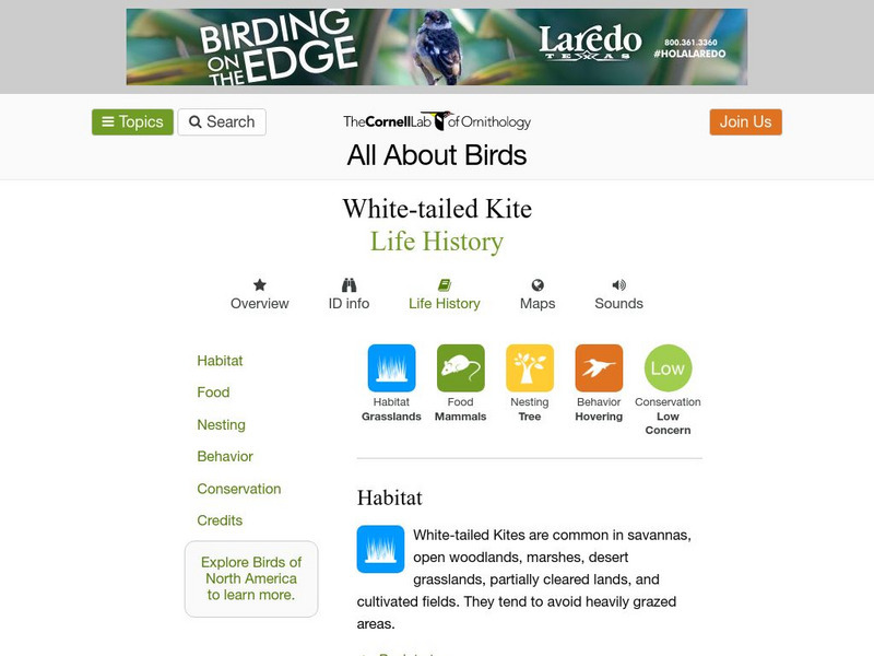 Cornell Lab of Ornithology: White Tailed Kite Handout