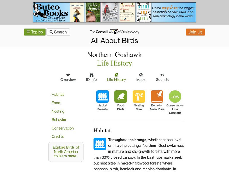 Cornell Lab of Ornithology: Northern Goshawk Handout