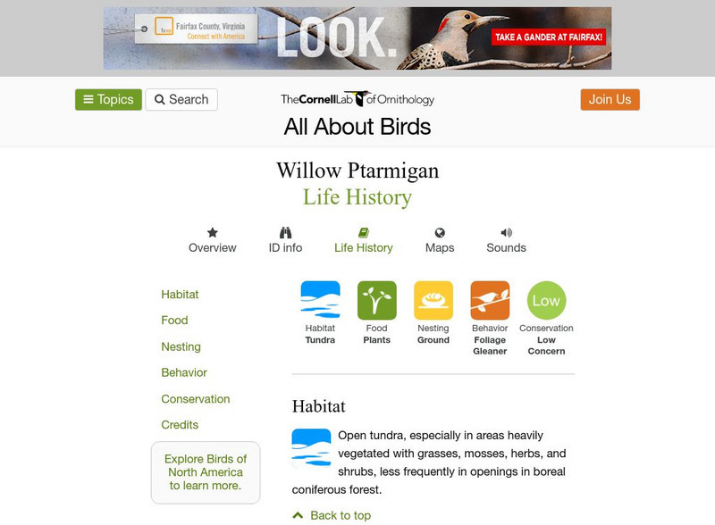 Cornell Lab of Ornithology: Will Ptarmigan Handout